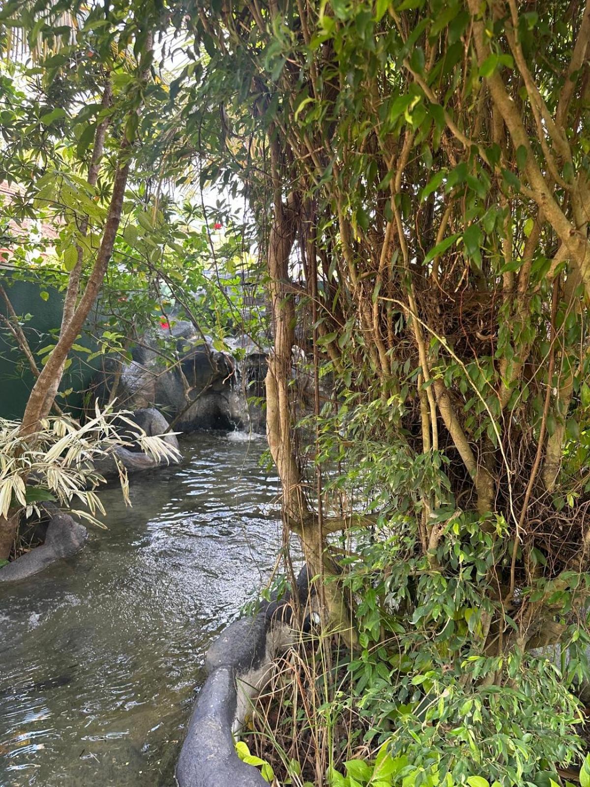 ホテル Aliya Lanka ベールワラ エクステリア 写真