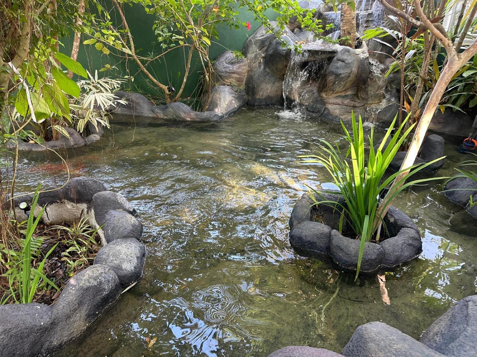 ホテル Aliya Lanka ベールワラ エクステリア 写真