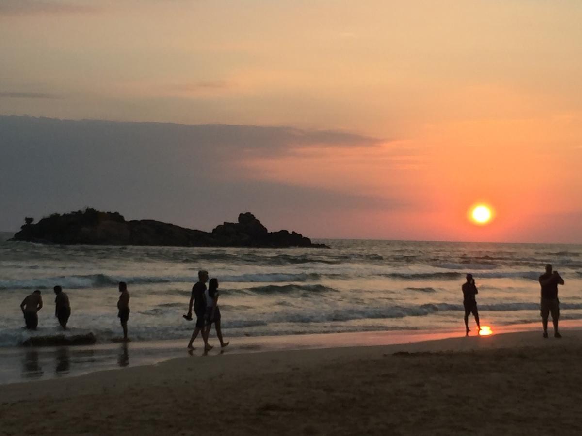 ホテル Aliya Lanka ベールワラ エクステリア 写真